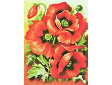 �������� ������� EF 270 ���� 30*40 ����: 535.00 RUB