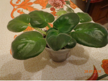 ��-�������� ����������