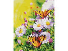 �������� ������� GF 1586 ������� �� ���� 40*50 ����: 760.00 RUB