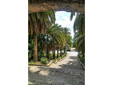 �����, �������� �������