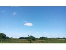 IMG 20180729 120904.jpg