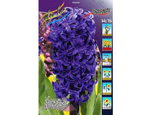 ������� ����������