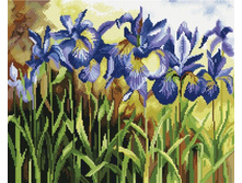 GF 1015 ����� ����� 40*50 ����: 1010.00 RUB