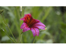 �������������