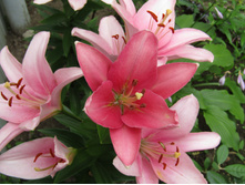 ����� ��������.JPG