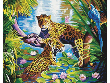 GF 954 �������� � �������� 40*50 ����: 1010.00 RUB