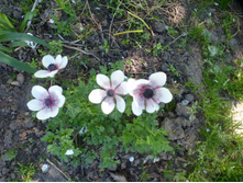 P1070818.JPG �������