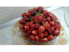 ���� ����� ����