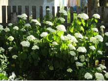 � ��������.JPG