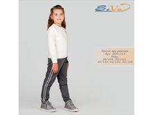 ����� ��� ������� �������: 309-113