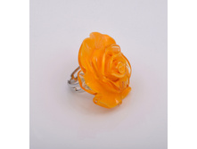 ������ Rosa media (������)