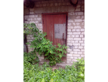 IMG 20180710 140145.jpg