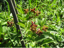 ���������� ������.JPG