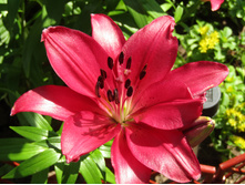 ����� ������.JPG