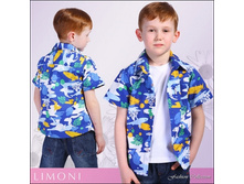 290 ������, 104 ������