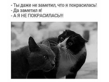 32737079 379484862545777 5000402188170690560 n.jpg