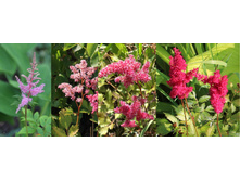 �������� ���.jpg