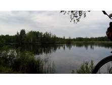 IMG 20180701 122944.jpg