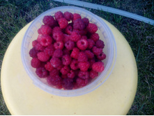 IMG 20180727 200837.jpg