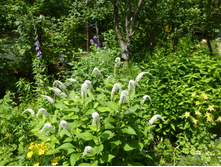 P1070868.JPG ��������� ������������.