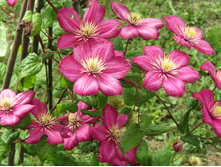 �������� ���� �� ����.JPG