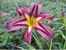 ���� ��������.jpg