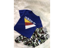 ��������  ����: 455.00 RUB �������: 146-152, 140-146, 134-140, 128-134, 122-128, 116-122 ������� / ���: #10334532 ��������: ������. ������: 65%cotton 35%polyester ������ �������������:������: