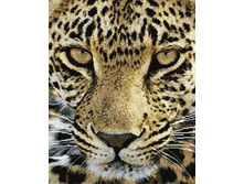 �������� ������� GF 1097 ������ ������� 40*50 ����: 760.00 RUB