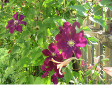 � ��������.JPG