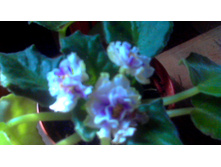 ������ ��-������� �������