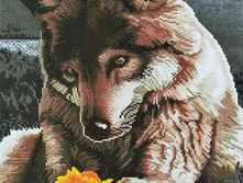 GF 605 �������� 40*50 ����: 1010.00 RUB