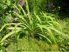 P1070839.JPG �������� ����������.