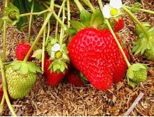 ��������� ��� ������� ���, 50 ��� (�������� 12��).jpg