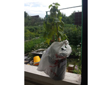 20180726 124734.jpg