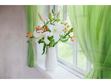 ����013-03759 �������.jpg