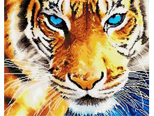 �������� ������� GF 459 ������ ����� 40*50 ����: 760.00 RUB