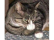 ������ �� ���������!