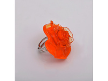 ������ Rosa media (orange)