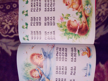 IMG 20171123 152757.jpg