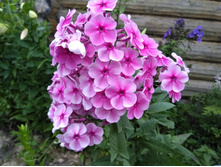 IMG 20180721 194339.jpg