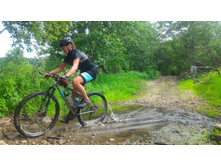 P 20180707 104754-01.jpeg