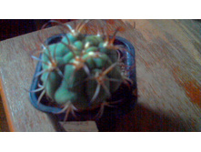 �������������