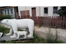 IMG 20180729 110847.jpg