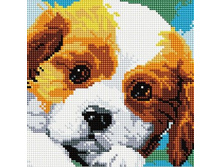 BF 566 ����� 20*20 ����: 540.00 RUB