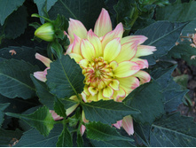 �������� ������� ����� .JPG