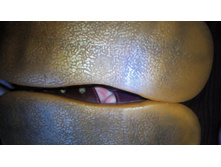 2018-07-04 16-43-42.JPG