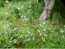 P1070843.JPG ������������.