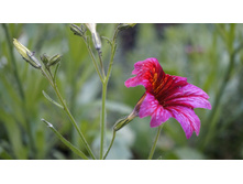 �������������