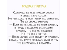 35386812 2046857845577771 861641877768634368 n.jpg