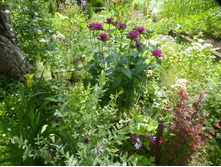 P1070867.JPG ������� �����.